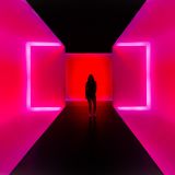 The Missing X For Success In Weight Control